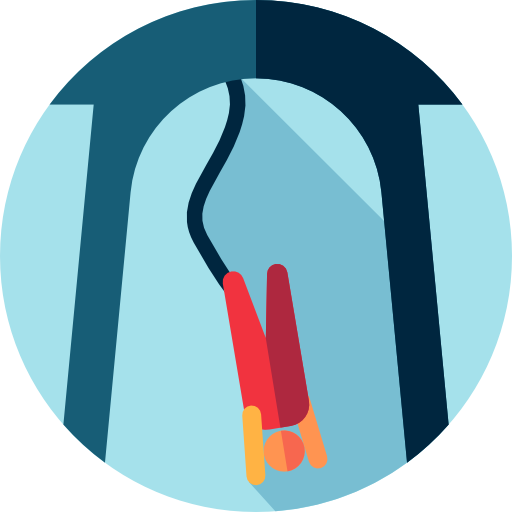 bungee jump